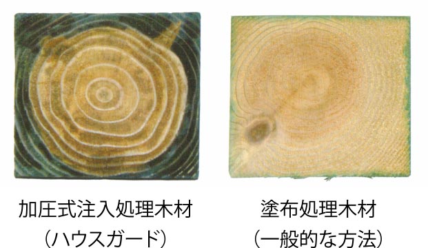 【左】加圧式注入処理木材（ハウスガード）／【右】塗布処理木材（一般的な方法）